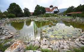 Hostal Conacul Secuiesc-szekelyko Kuria